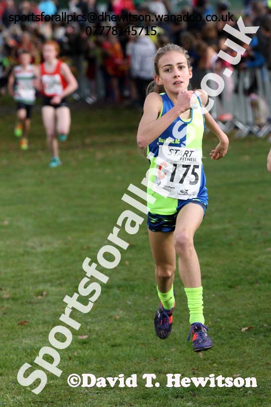 Girls under-13s Northern Cross Country Relays. Photo: David T. Hewitson/Sports for All Pics